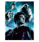 Puzzle 2x500 pieces - Harry Potter et le Prince de Sang Melé - Puzzle adultes Ravensburger - Des 10 ans - 17265
