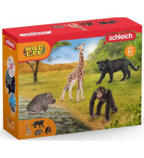 SCHLEICH - Kit de base Wild Life - 72162 - Gamme Wild Life