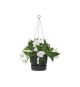 ELHO Pot de fleurs a suspendre Greenville 24 - Extérieur - Ø 23,9 x H 20,3 cm - Vivre noir