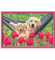 Numéro d'Art grand format - Labrador et tulipes -4005556235988 - Ravensburger