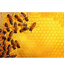Puzzle 1000 p ruche abeilles