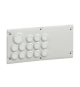 PLAQUE CABSTOP IP55 13 ENTREES Ø