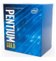 Processeur Intel Pentium Gold G-6600 (BX80701G6600) Socket LGA1200 (chipset Intel serie 400) 58W