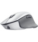Souris - RAZER - Pro Click