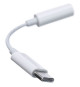 Adaptateur APPLE USB-C To 3.5 Mm Headphone Adapter