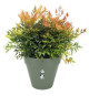 Planteur Rectangle VIBIA - Plastique - Réservoir - Ø50 - Jaune Miel