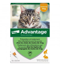 Advantage Solution Antipuce Chat Lapin 1 a 4kg 6 pipettes