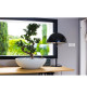 EDA Pot vasque Graphit Ø59cm - Contenance 39L - Blanc cérusé