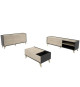 Ensemble meuble TV table basse buffet NESS - Mélaminé - Style scandinave - Chene naturel et graphite