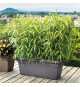 DEROMA Bac a fleurs rectangulaire Day R Anthracite - 100 cm