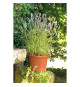 DEROMA Pot de fleurs rond Day R cotto - Coloris terre rouge - 40cm