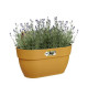 ELHO - Pot de fleurs -  Vibia Campana Easy Hanger Medium - Jaune Miel - Balcon extérieur - L 24.1 x W 36 x H 26.5 cm