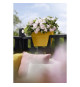 ELHO - Pot de fleurs -  Vibia Campana Flower Bridge 40 - Jaune Miel - Balcon extérieur - L 26 x W 39 x H 22 cm