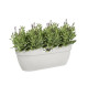 ELHO - Pot de fleurs -  Vibia Campana Easy Hanger Large - Blanc Soie - Balcon extérieur - L 24.1 x W 46 x H 26.5 cm
