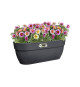 ELHO - Pot de fleurs -  Vibia Campana Easy Hanger Large - Anthracite - Balcon extérieur - L 24.1 x W 46 x H 26.5 cm