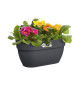 ELHO - Pot de fleurs -  Vibia Campana Easy Hanger Medium  - Anthracite - Balcon extérieur - L 24.1 x W 36 x H 26.5 cm