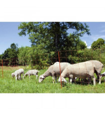 Kerbl Filet pour moutons OviNet électrifiable - Longueur 50 m - Hauteur 90 cm - 14 piquets