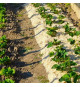 NATUREN Paille de Chanvre UAB 100L - Protege le potager et enrichit le sol