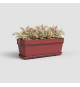 Jardiniere Capri - Plastique - Rouge Foncé - Rectangulaire - 50,2 x 28,5 x H20,7 cm - ARTEVASI
