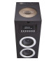 THOMSON DS120CD - Tour haut-parleurs multimédia - Lecteur CD - 60W - Bluetooth, USB, Radio FM - Affichage LED - Noire