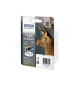 EPSON Multipack T1306 - Cerf - Cyan, Magenta, Jaune (C13T13064012)