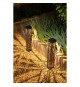 Decoration Balise solaire GALIX G4465 - 20 lumens - A visser ou a planter - H70cm - Blanc Chaud