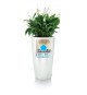 Pot de fleur Rondo Premium 40 - LEC - Kit complet - Argent métallisé - Hauteur 75 cm - Matieres polypropylene