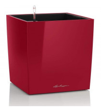 Pot de fleur LECHUZA Cube Premium 50 - kit complet, rouge scarlet brillant