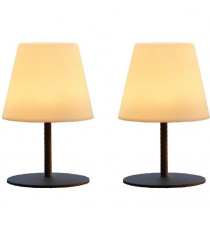 Pack de 2 Lampes de table sans fil - LUMISKY - TWINS - H16 cm - Pied en acier gris - LED blanc chaud et blanc