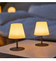 Pack de 2 Lampes de table sans fil - LUMISKY - TWINS - H16 cm - Pied en acier gris - LED blanc chaud et blanc