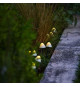10 mini-champignons lumineux solaires a piquer - LUMISKY - CHAMPY - 3.8 m - Balisage allée - LED blanc chaud