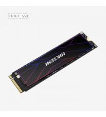 HIKSEMI - SSD Interne - 1024Go - M.2 - Future PCIe Gen 4x4, NVMe 7450MB/s 6600MB/s (HS-SSD-FUTURE(STD)/1024G/PCIE4)