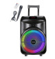 Enceinte trolley - INOVALLEY - KA122 - 700W - Bluetooth - Lumineuse