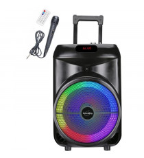 Enceinte trolley - INOVALLEY - KA122 - 700W - Bluetooth - Lumineuse
