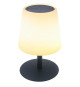 Lampe de table solaire et rechargeable - LUMISKY - STANDY TINY SOLAR - H25 cm - LED blanc chaud et blanc dimmable