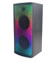 INOVALLEY MS05XXL - Enceinte lumineuse karaoké Bluetooth 800W - 7 modes lumineux LED - Radio FM,USB, Entrée micro - Ecran LED
