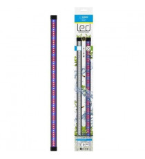CIANO CLN5 rampe led blanche et RGB 1,5W + transfo pour nexus Betta Life 5C et Diamond 14C CIANO