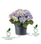 Elho Bac a fleurs Green Basics Cilinder 65 - Vert - Ø 64 x H 49 cm - extérieur - 100% recyclé