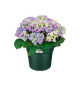 Elho Bac a fleurs Green Basics Cilinder 65 - Vert - Ø 64 x H 49 cm - extérieur - 100% recyclé