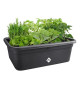 Elho Bac a fleurs Green Basics Jardin De Culture L - Noir - L 76 x B 57 x H 27 cm - culture et récolteextérieur - 100% recyclé