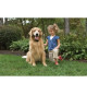 Clôture anti-fugue extérieur standard avec fil pour chien, Systeme de base pour tous chien, 150m de fil a enterrer ou a poser