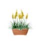 Elho Vibia Campana Bac a fleurs Terrasse 80 - Marron - L 77 x B 35 x H 33 cm - extérieur - 100% recyclé