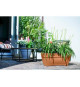 Elho Vibia Campana Bac a fleurs Terrasse 80 - Marron - L 77 x B 35 x H 33 cm - extérieur - 100% recyclé