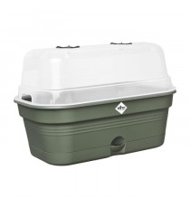 ELHO Green Basics Plateau De Culture Allin1 L - Vert - L 39 x B 23 x H 15 cm - culture et récolte - 100% recyclé