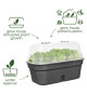 ELHO Green Basics Plateau De Culture Allin1 L - Vert - L 39 x B 23 x H 15 cm - culture et récolte - 100% recyclé