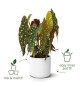ELHO B.for Soft Pot de fleurs rond 35 - Blanc - Ø 35 x H 32 cm - intérieur - 100% recyclé
