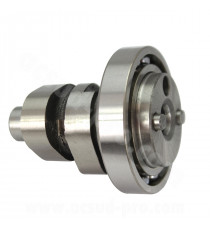 ARBRE A CAME MAXISCOOTER COMPLET ADAPT. YAMAHA XMAX / YZF-R 125cc (ROULEMENT NTN) (OEM : 1B9-WE211-0100)