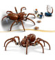 LEGO Harry Potter 76434 Aragog dans la Foret interdite - Set sur le theme des araignées