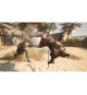 Flintlock The Siege of Dawn - Jeu Xbox Series X