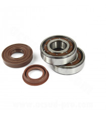 KIT ROULEMENTS  CELERON RIVETEE (6204-THB-P63-C3) AVEC JOINT SPI VITON ADAPT. YAMAHA BOOSTER / NITRO / OVETTO / CPI
